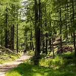 Private Whole-hotel In 360 Alpine Views Sauna & Hot Tub 木屋 *