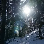 Private Whole-hotel In 360 Alpine Views Sauna & Hot Tub 木屋 *