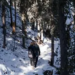 Private Whole-hotel In 360 Alpine Views Sauna & Hot Tub 木屋