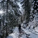 木屋 Private Whole-hotel In 360 Alpine Views Sauna & Hot Tub 萨斯费