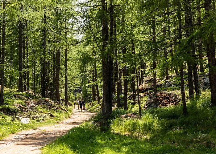 Private Whole-hotel In 360 Alpine Views Sauna & Hot Tub Chalet *