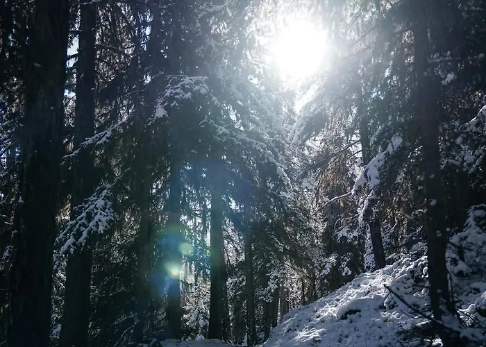 Private Whole-hotel In 360 Alpine Views Sauna & Hot Tub Chalet *