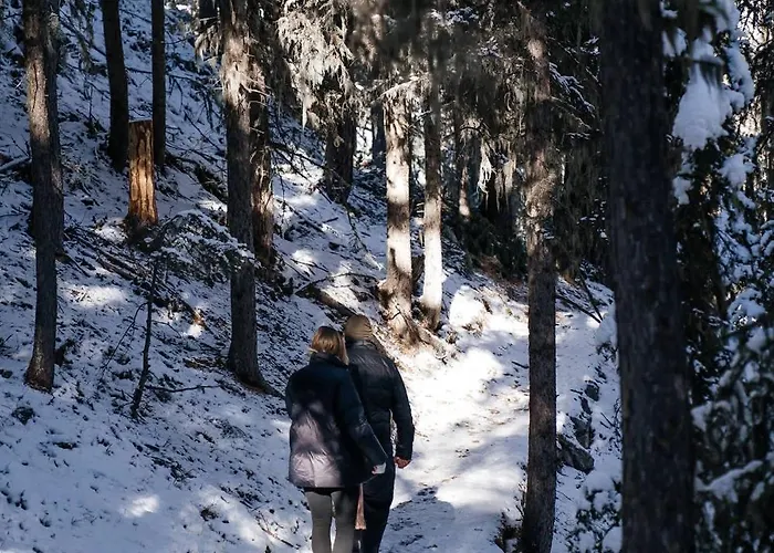 Private Whole-hotel In 360 Alpine Views Sauna & Hot Tub Chalet