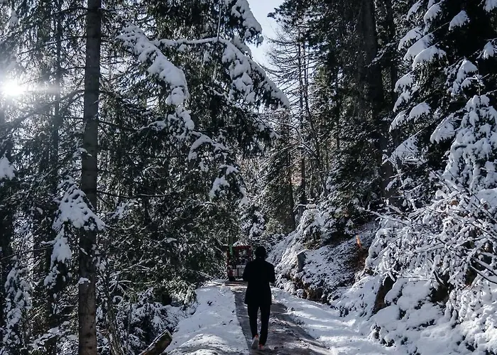 Chalet Private Whole-hotel In 360 Alpine Views Sauna & Hot Tub Saas-Fee